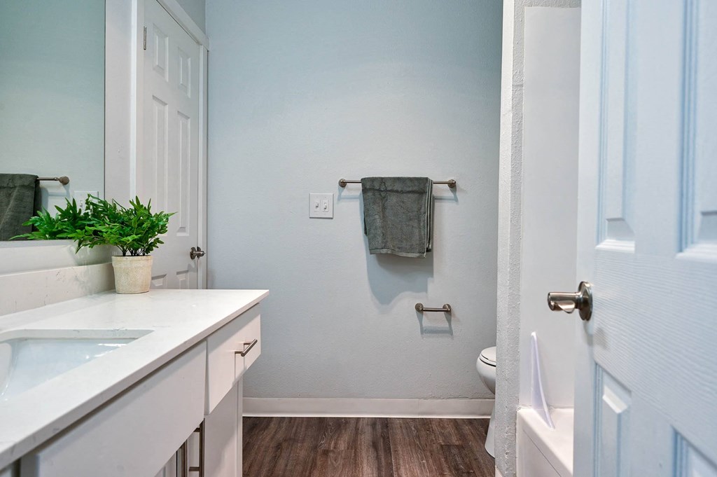 a bathroom with a sink and a toilet and a towel rack